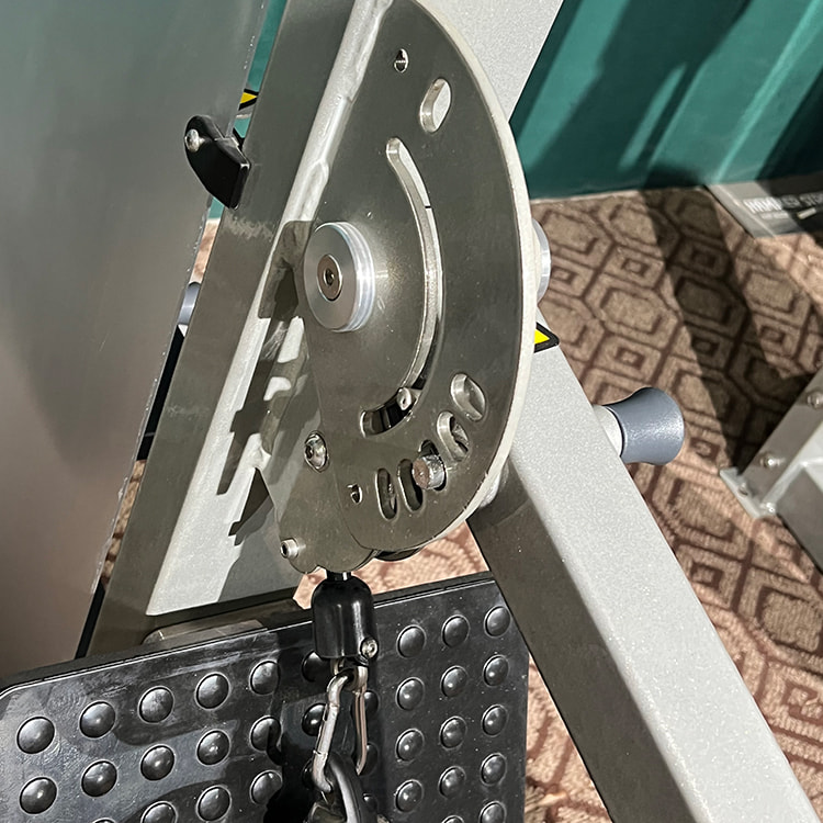 Hoge terugtrekspier<br />HS-PD Hoge terugtrekspier<br />HS-PD